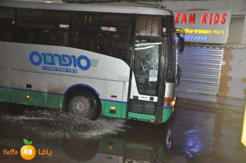 rain lud 1212 (4).JPG